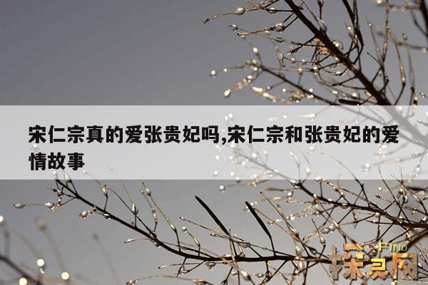 宋仁宗真的爱张贵妃吗,宋仁宗和张贵妃的爱情故事