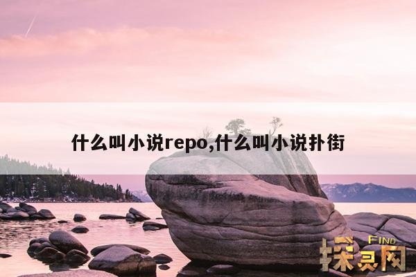 什么叫小说repo,什么叫小说扑街