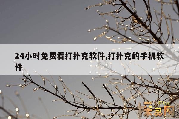 24小时免费看打扑克软件,打扑克的手机软件