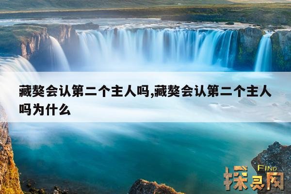 藏獒会认第二个主人吗,藏獒会认第二个主人吗为什么