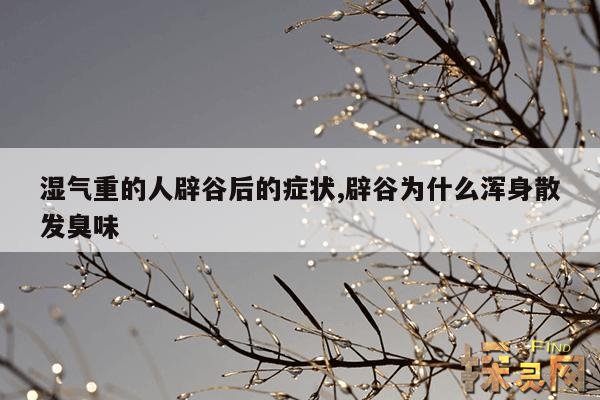 湿气重的人辟谷后的症状,辟谷为什么浑身散发臭味