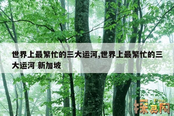 世界上最繁忙的三大运河,世界上最繁忙的三大运河 新加坡