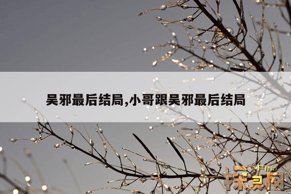 吴邪最后结局,小哥跟吴邪最后结局