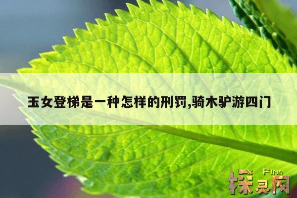 玉女登梯是一种怎样的刑罚,骑木驴游四门