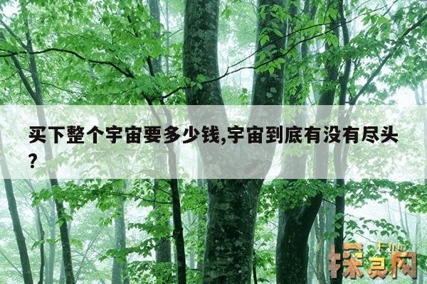 买下整个宇宙要多少钱,宇宙到底有没有尽头?