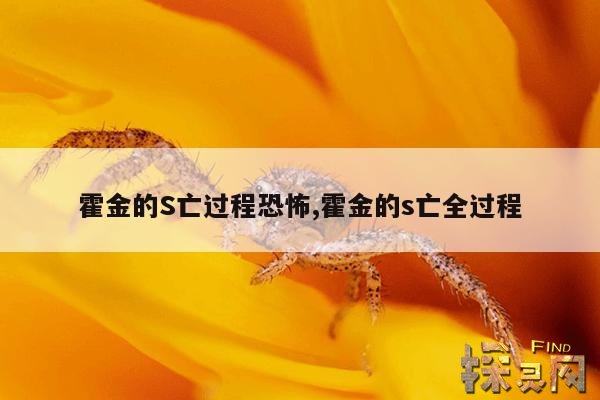 霍金的S亡过程恐怖,霍金的s亡全过程