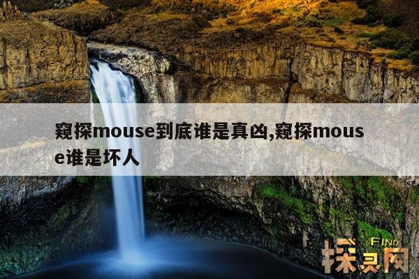 窥探mouse到底谁是真凶,窥探mouse谁是坏人