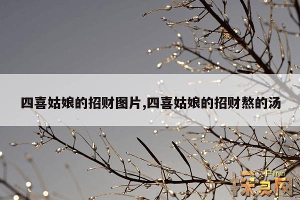 四喜姑娘的招财图片,四喜姑娘的招财熬的汤