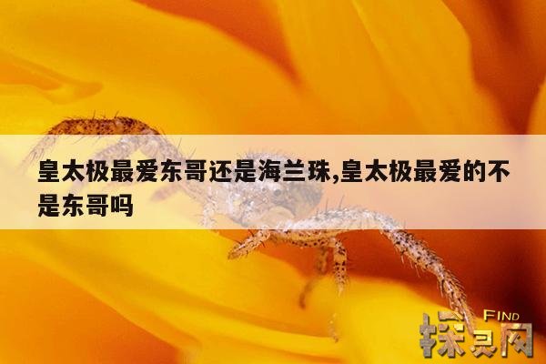 皇太极最爱东哥还是海兰珠,皇太极最爱的不是东哥吗