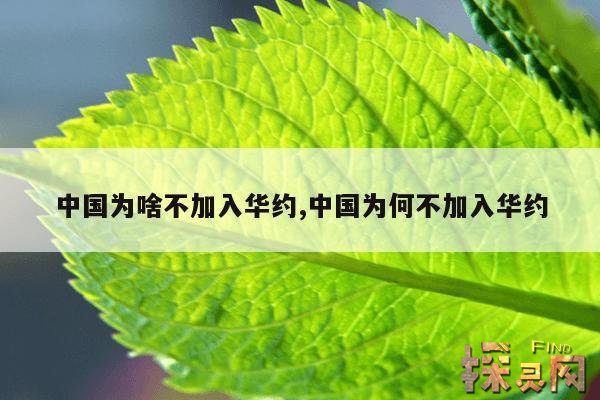 中国为啥不加入华约,中国为何不加入华约