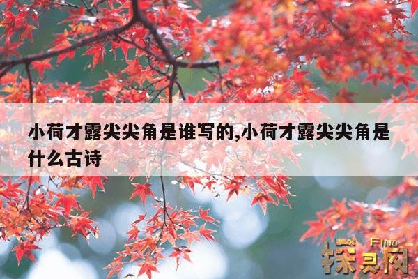 小荷才露尖尖角是谁写的,小荷才露尖尖角是什么古诗