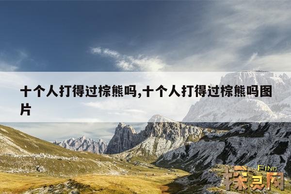 十个人打得过棕熊吗,十个人打得过棕熊吗图片