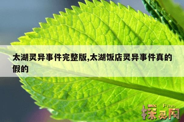 太湖灵异事件完整版,太湖饭店灵异事件真的假的