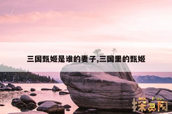 三国甄姬是谁的妻子,三国里的甄姬