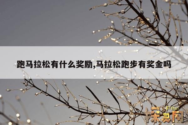 跑马拉松有什么奖励,马拉松跑步有奖金吗