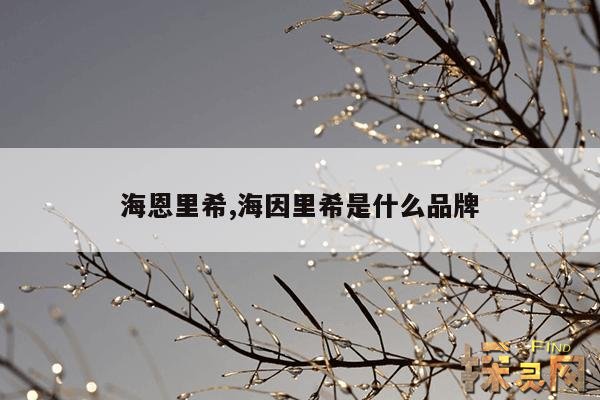 海恩里希,海因里希是什么品牌