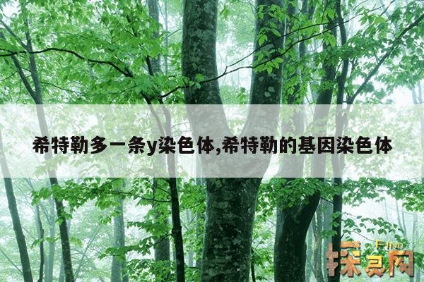 希特勒多一条y染色体,希特勒的基因染色体