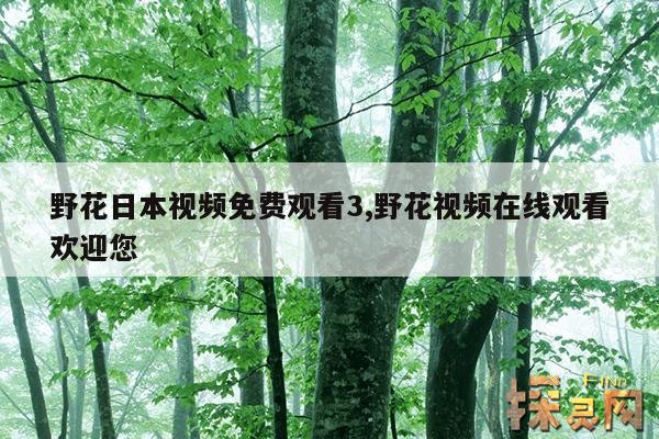 野花日本视频免费观看3,野花视频在线观看欢迎您