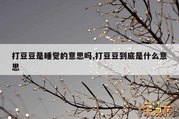 打豆豆是睡觉的意思吗,打豆豆到底是什么意思