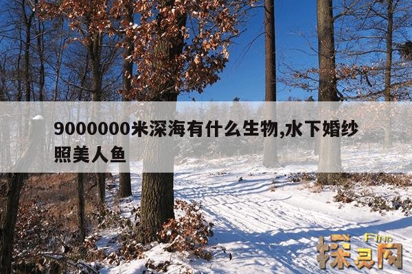9000000米深海有什么生物,水下婚纱照美人鱼
