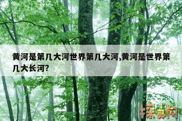 黄河是第几大河世界第几大河,黄河是世界第几大长河?