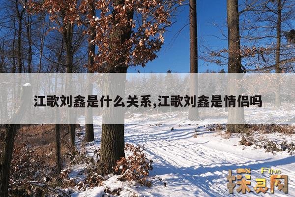 江歌刘鑫是什么关系,江歌刘鑫是情侣吗