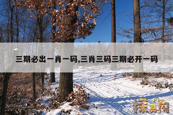 三期必出一肖一码,三肖三码三期必开一码