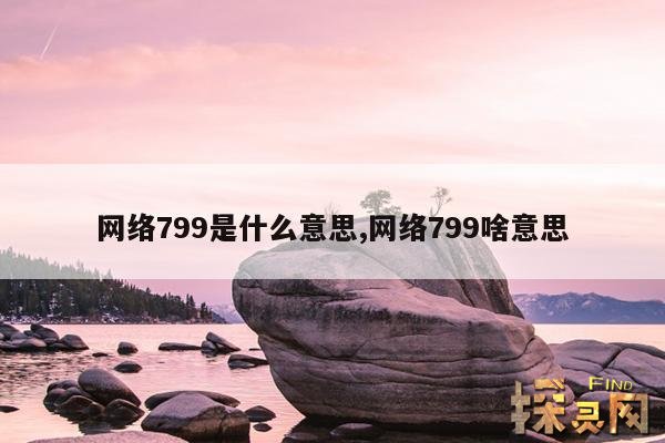 网络799是什么意思,网络799啥意思