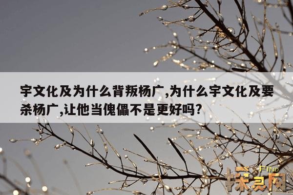 宇文化及为什么背叛杨广,为什么宇文化及要杀杨广,让他当傀儡不是更好吗?