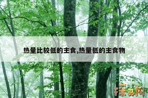 热量比较低的主食,热量低的主食物