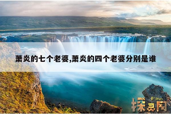 萧炎的七个老婆,萧炎的四个老婆分别是谁