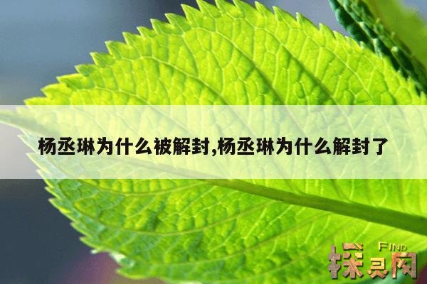 杨丞琳为什么被解封,杨丞琳为什么解封了
