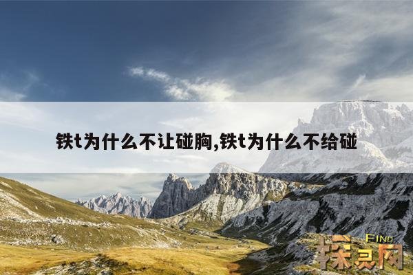 铁t为什么不让碰胸,铁t为什么不给碰