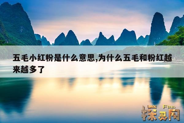 五毛小红粉是什么意思,为什么五毛和粉红越来越多了