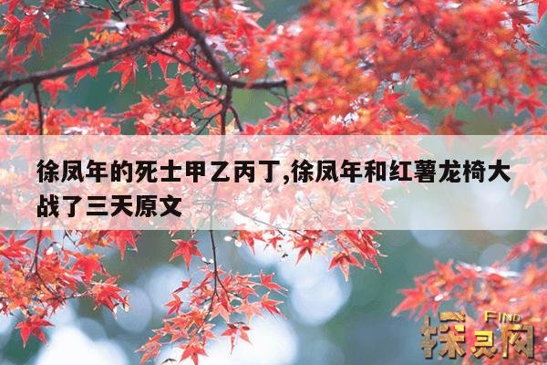 徐凤年的死士甲乙丙丁,徐凤年和红薯龙椅大战了三天原文