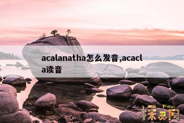 acalanatha怎么发音,acacla读音