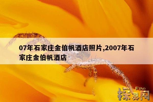 07年石家庄金伯帆酒店照片,2007年石家庄金伯帆酒店