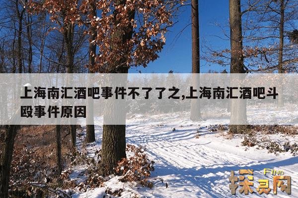 上海南汇酒吧事件不了了之,上海南汇酒吧斗殴事件原因