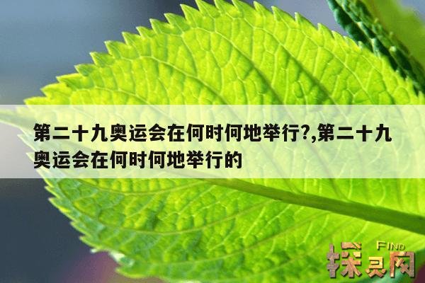第二十九奥运会在何时何地举行?,第二十九奥运会在何时何地举行的