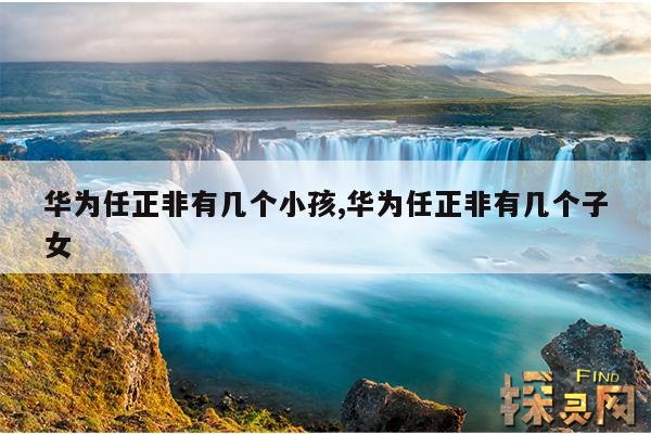 华为任正非有几个小孩,华为任正非有几个子女