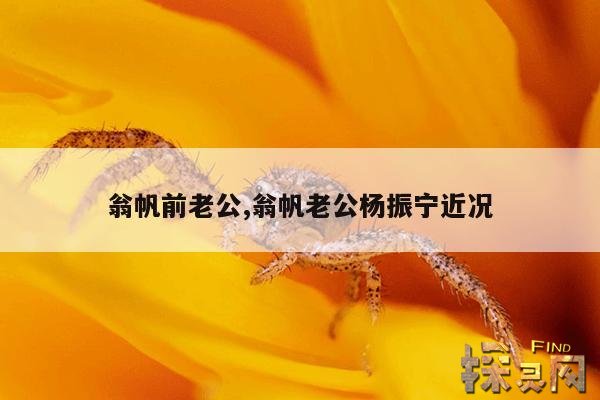 翁帆前老公,翁帆老公杨振宁近况