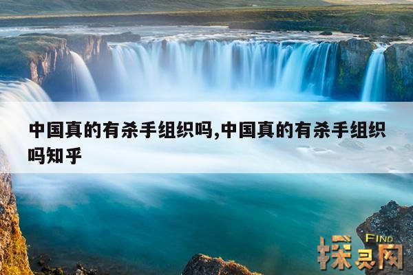 中国真的有杀手组织吗,中国真的有杀手组织吗知乎