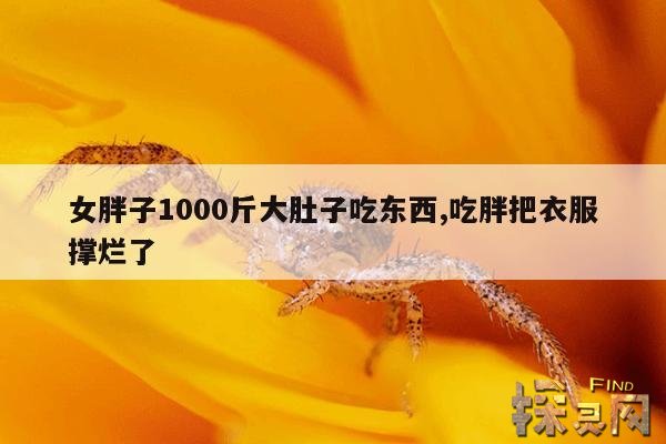 女胖子1000斤大肚子吃东西,吃胖把衣服撑烂了