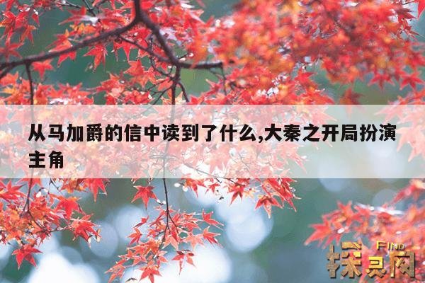 从马加爵的信中读到了什么,大秦之开局扮演主角