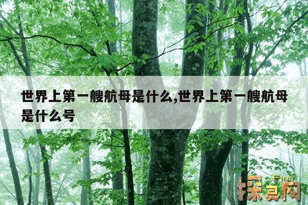 世界上第一艘航母是什么,世界上第一艘航母是什么号