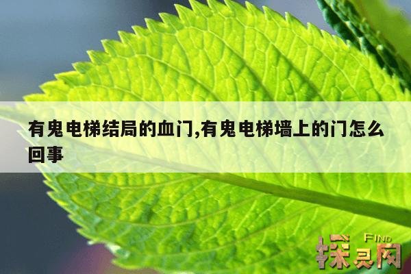 有鬼电梯结局的血门,有鬼电梯墙上的门怎么回事