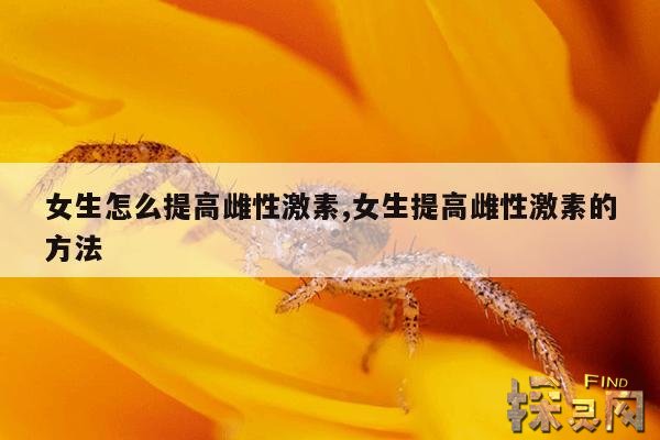 女生怎么提高雌性激素,女生提高雌性激素的方法
