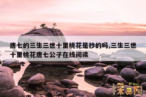 唐七的三生三世十里桃花是抄的吗,三生三世十里桃花唐七公子在线阅读