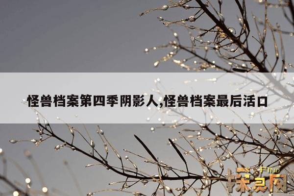 怪兽档案第四季阴影人,怪兽档案最后活口