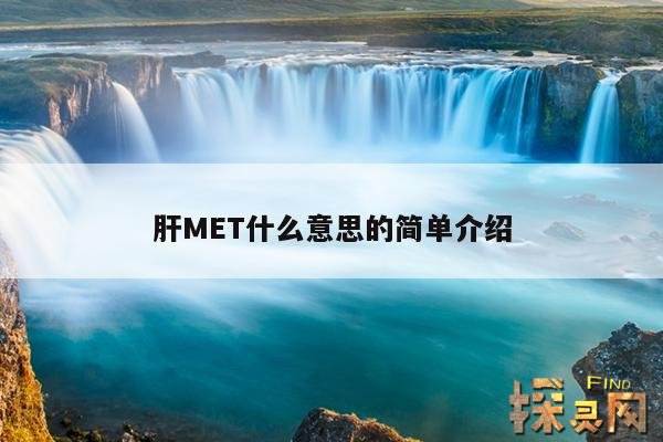 肝MET什么意思的简单介绍